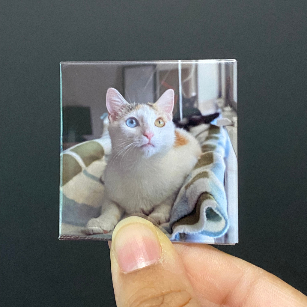 2x2 Custom Photo Magnets