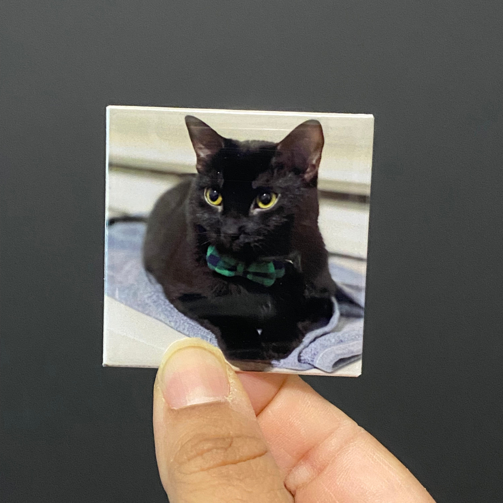 2x2 Custom Photo Magnets