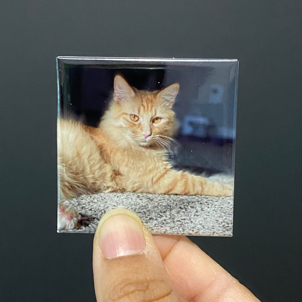 2x2 Custom Photo Magnets