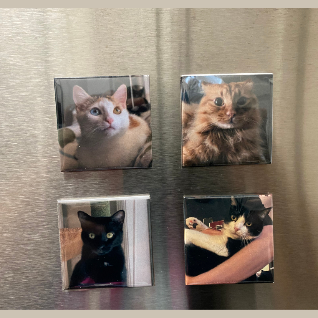 2x2 Custom Photo Magnets